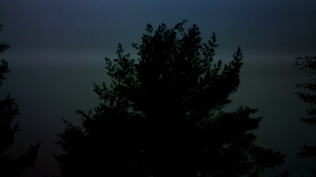 Video Reference: Sky, Tree, Nature, Black, Atmospheric phenomenon, Blue, Atmosphere, Woody plant, Biome, Night, Person