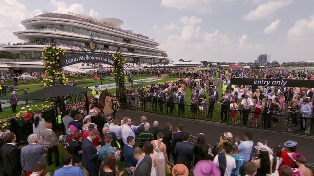 Video Reference: Crowd, People, Product, Sport venue, Event, Fan, Stadium, Race track, Tourism, Audience