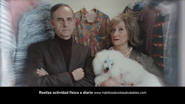 Video Reference: dog, canine, domestic animal, poodle, cute, toy dog, pet, fur, puppy, Person