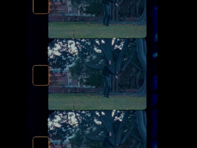 Video Reference: Green, Blue, Art, Line, Organism, Tree, Textile, Technology, Window, Space, Person, Outdoor, Street, Photo, Building, Sitting, Sign, Light, Traffic, Meter, Bus, City, Standing, White, Stop, Door, Parking, Phone, Red, Text, Screenshot