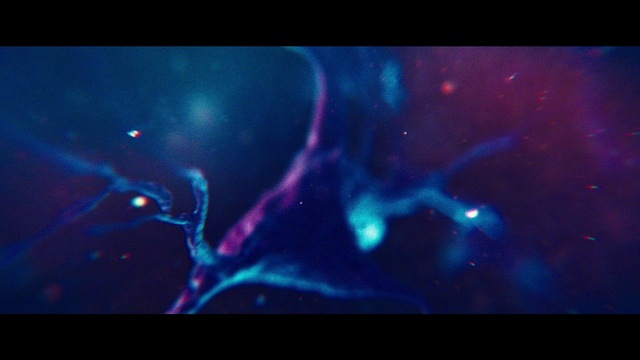 Video Reference: Blue, Violet, Light, Purple, Darkness, Atmosphere, Organism, Electric blue, Water, Marine biology, Monitor, Indoor, Table, Sitting, Screen, Computer, Photo, Surface, Black, Animal, Clear, Television, Large, Colorful, White, Red, Cat, Screenshot, Invertebrate, Aquarium, Reef, Image