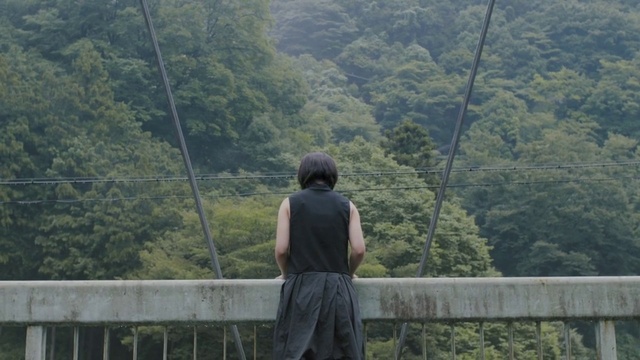 Video Reference: Hill station, Jungle, Travel, Rainforest, Forest