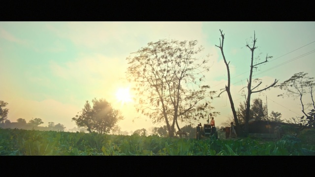 Video Reference: sky, tree, ecosystem, atmosphere, morning, sunlight, branch, grass, landscape, savanna, Person