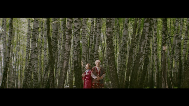 Video Reference: tree, woodland, forest, nature, ecosystem, green, woody plant, wilderness, flora, plant