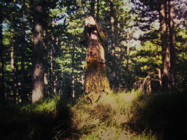 Video Reference: People in nature, Nature, Tree, Forest, Natural environment, Woodland, Green, Sunlight, Natural landscape, Light