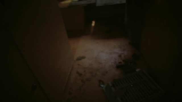 Video Reference: Black, Darkness, Floor, Light, Green, Brown, Hardwood, Room, Lighting, Flooring