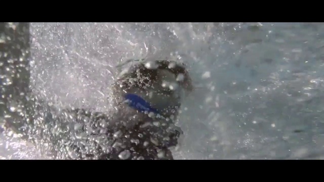 Video Reference: Water, Recreation