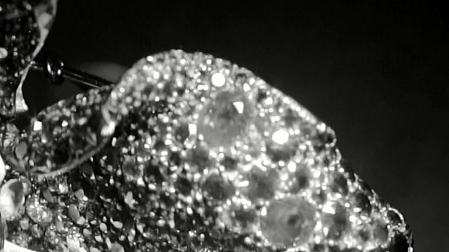 Video Reference: black and white, black, monochrome photography, photography, bling bling, monochrome, water, organism, macro photography, jewellery
