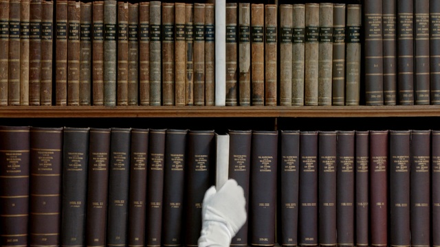 Video Reference: library, bookcase, wood stain, public library, shelving, building