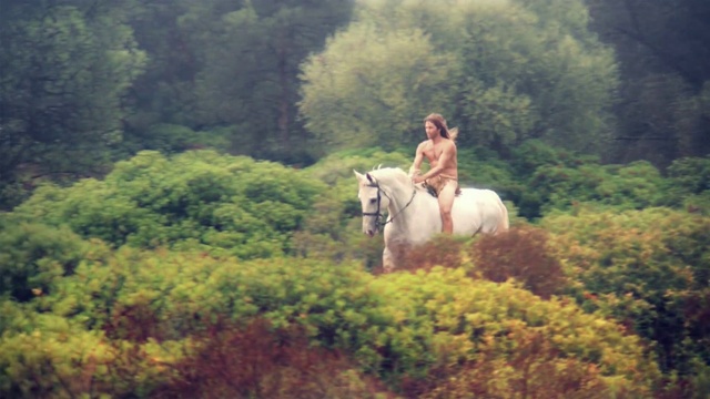 Video Reference: Horse, Trail riding, Bridle, Wilderness, Recreation, Mare, Rural area, Mustang horse, Equestrianism, Mane, Person