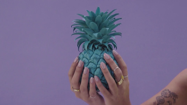 Video Reference: pineapple, plant, ananas, hand, bromeliaceae