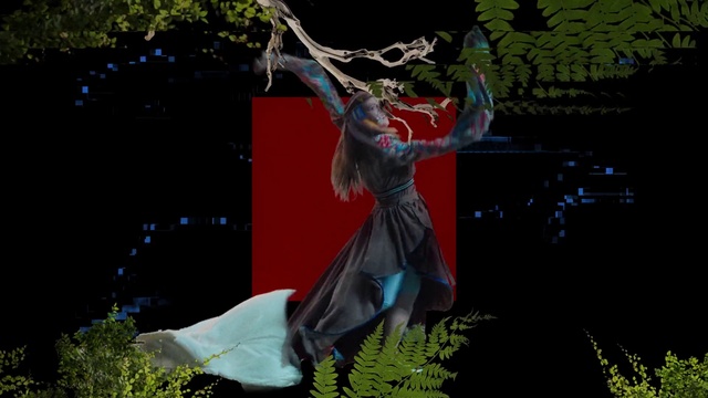 Video Reference: Plant, People in nature, Flash photography, Entertainment, Grass, Tree, Performing arts, Leisure, Art, Happy