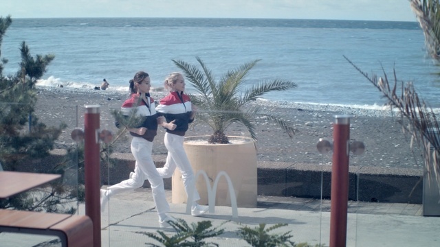 Video Reference: beach, arecales, vacation, sea, palm tree, tree, tourism, resort, coast, ocean