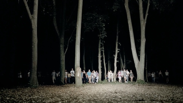 Video Reference: photograph, nature, tree, night, darkness, light, photography, lighting, sky, ceremony