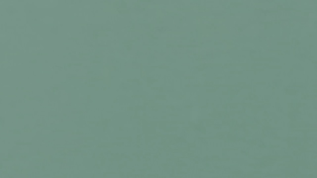 Video Reference: green, blue, sky, black, text, aqua, atmosphere, line, font, grass