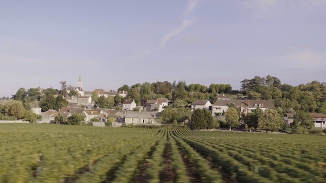 Video Reference: Field, Farm, Rural area, Land lot, Village, Grass, Agriculture, Sky, Crop, Landscape