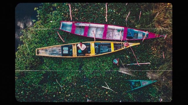 Video Reference: Water transportation, Vehicle, Tree, Photography, Art, Boat, Illustration, Watercraft