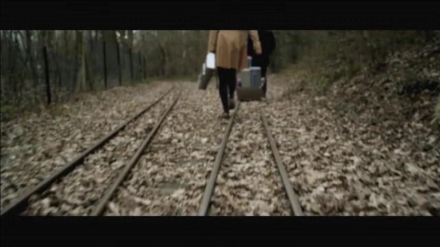 Video Reference: track, path, grass family, grass, tree, forest, vehicle, Person