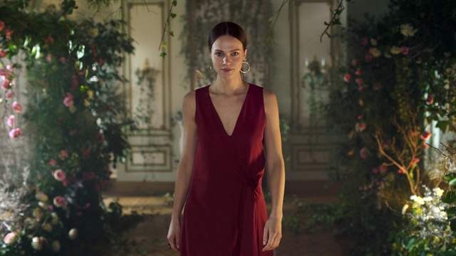 Video Reference: Photograph, Red, Lady, Beauty, Dress, Shoulder, Fashion, Tree, Standing, Photography, Person