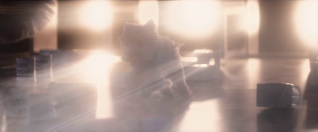 Video Reference: White, Sky, Light, Snapshot, Sunlight, Cloud, Lens flare, Photography, Shadow