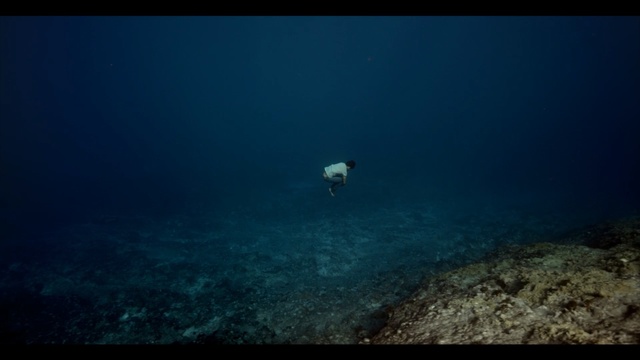 Video Reference: underwater, sea, water, atmosphere, marine biology, reef, freediving, ocean, organism, sky