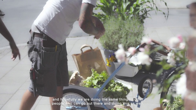 Video Reference: Vehicle, Tree, Plant, Houseplant, Floral design