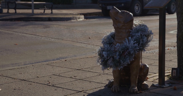 Video Reference: street, road, sidewalk, Person