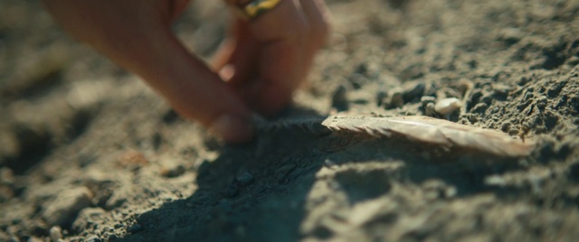 Video Reference: Soil, Sand, Hand, Leg, Finger, Human, Fun, Photography, Adaptation, Nail