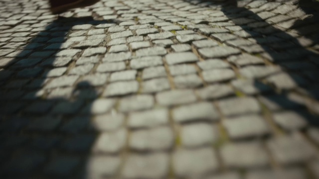 Video Reference: Cobblestone, Flooring, Floor, Tile, Pattern, Shadow, Road surface