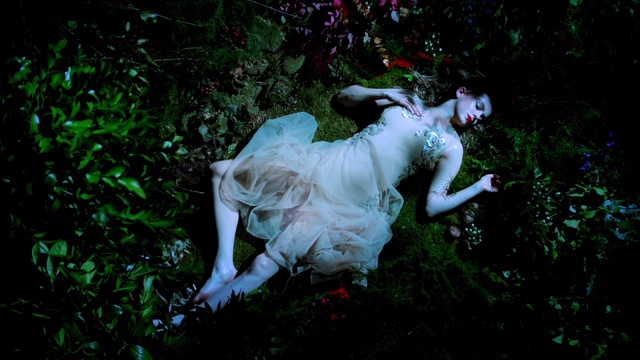 Video Reference: Green, Grass, Natural environment, Tree, Pink, Dress, Leaf, Organism, Forest, Plant