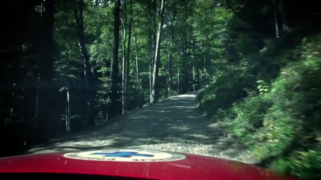 Video Reference: Nature, Forest, Natural environment, Jungle, Woodland, Road, Tree, Mode of transport, Wilderness, Sunlight, Person