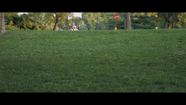 Video Reference: lawn, green, grass, grassland, nature, ecosystem, pasture, meadow, yard, plant
