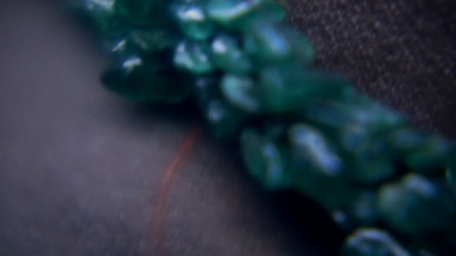 Video Reference: green, macro photography, close up, photography, organism, water, turquoise, emerald, jade, computer wallpaper