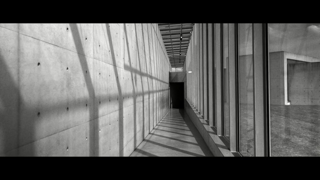 Video Reference: White, Black, Black-and-white, Photograph, Monochrome, Monochrome photography, Line, Architecture, Snapshot, Photography, Person