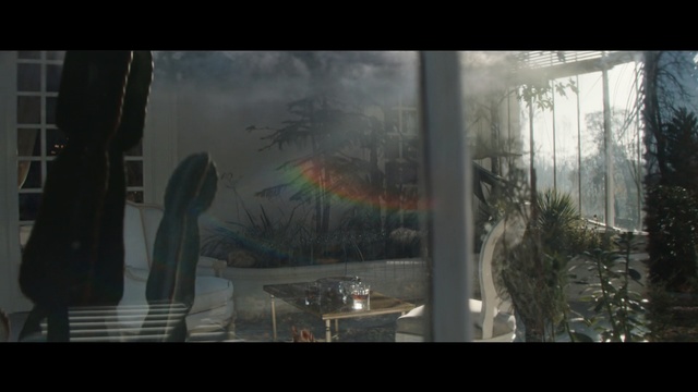 Video Reference: Nature, Biome, Tree, Screenshot, Pc game, Landscape, Digital compositing, Plant, Photography, Sunlight, Indoor, Window, Table, Photo, Man, Glass, Wine, Room, Standing, Sitting, Woman, Cake, Covered, Holding, White, People, Living, Vase, Red, Group, Video game, Text
