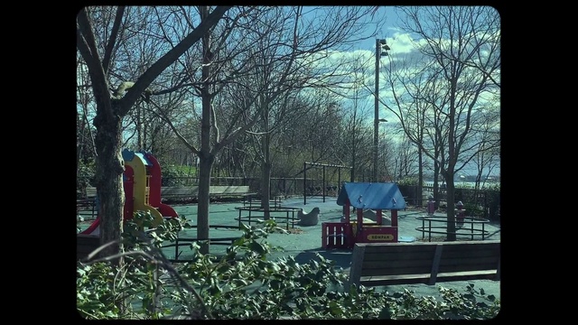 Video Reference: Nature, Tree, Forest, Grass, Adaptation, Woodland, Plant, Tints and shades, House, Photography