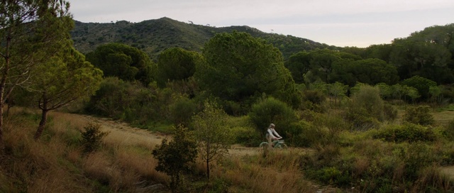 Video Reference: Vegetation, Nature, Shrubland, Wilderness, Hill, Plant community, Nature reserve, Natural environment, Mountainous landforms, Highland