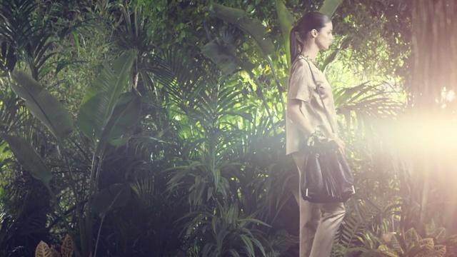 Video Reference: nature, green, tree, vegetation, forest, grass, jungle, leaf, sunlight, light