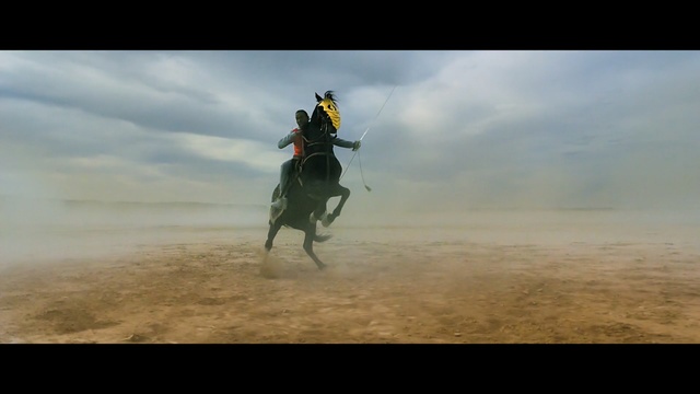 Video Reference: Horse, Bridle, Halter, Rein, Stallion, Recreation, Ecoregion, Animal sports, Sky, Steppe