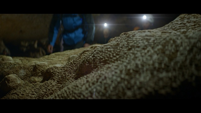 Video Reference: Organism, Adaptation, Reptile, Darkness, World, Screenshot