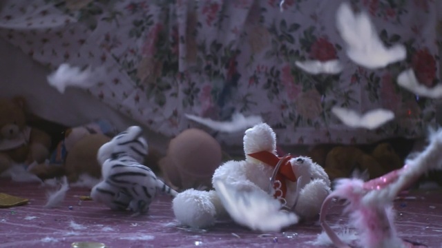 Video Reference: vertebrate, snow, winter