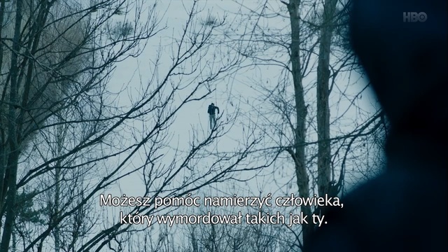 Video Reference: Branch, Nature, Tree, Sky, Text, Bird, Adaptation, Organism, Wildlife, Winter, Person