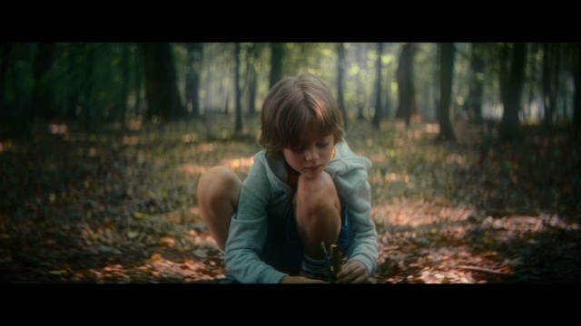 Video Reference: People in nature, Nature, Photograph, Forest, Natural environment, Tree, Woodland, Photography, Sunlight, Grass