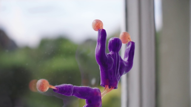 Video Reference: Violet, Purple, Pink, Flower, Close-up, Plant, Hand, Spring, Organism, Photography