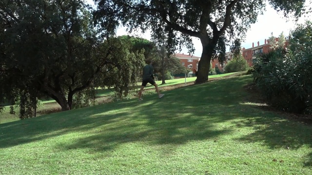 Video Reference: lawn, property, grass, tree, land lot, yard, path, pasture, landscape, estate