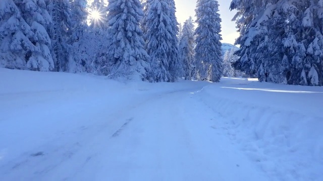Video Reference: Snow, Winter, Blue, Frost, Tree, Nature, Freezing, Geological phenomenon, Daytime, Sky