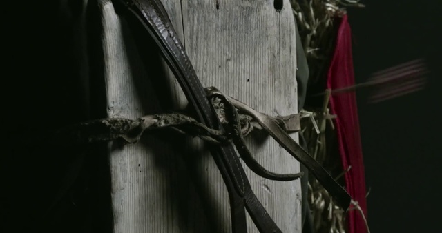 Video Reference: Iron, Tree, Still life photography, Plant, Metal