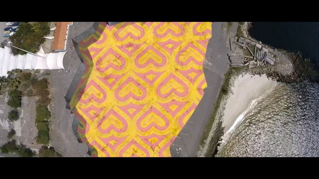 Video Reference: yellow, green, ecosystem, flora, geological phenomenon, biome, symmetry, organism, tree, material, Person