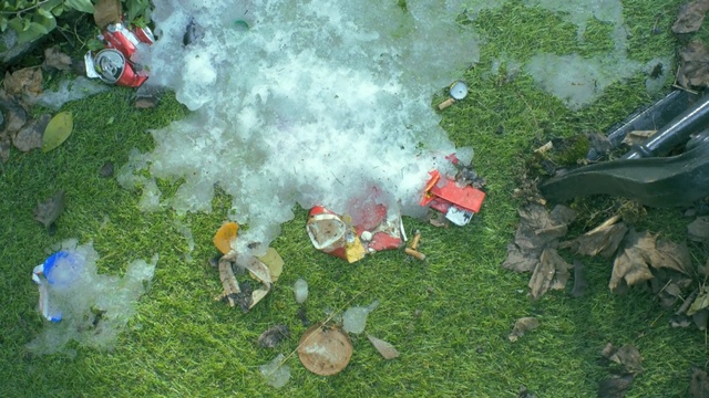 Video Reference: grass, litter, biome, plant, tree, lawn, waste, Person