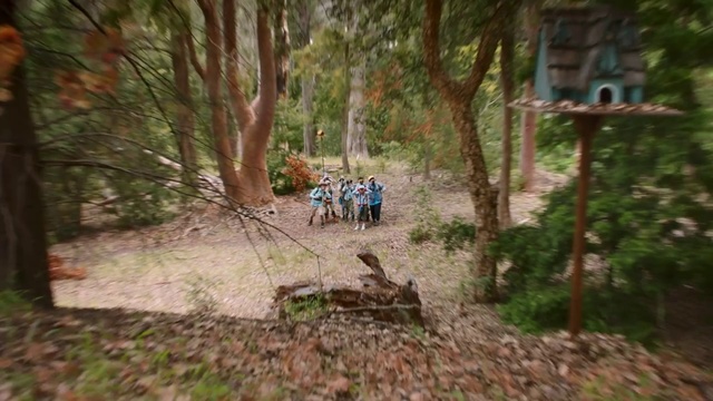 Video Reference: Nature, Natural environment, Nature reserve, Woodland, Forest, Wilderness, Trail, Tree, Biome, Jungle